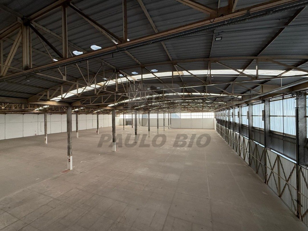 WhatsApp Image 2025-11-26 at 17.26