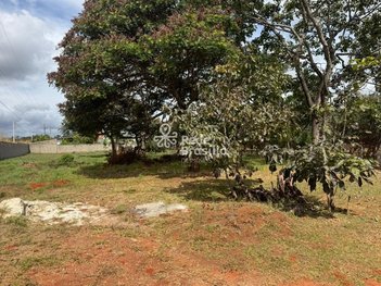 land_lot em Condomínio San Francisco I, Setor Habitacional Jardim Botânico - Brasília - DF