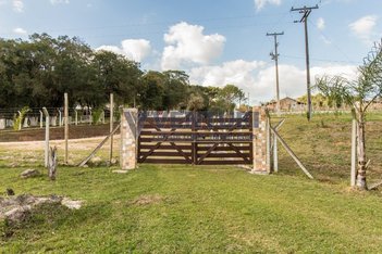 agricultural em Rua Lúcia Camila  Follador, Campo Largo da Roseira - São José dos Pinhais - PR