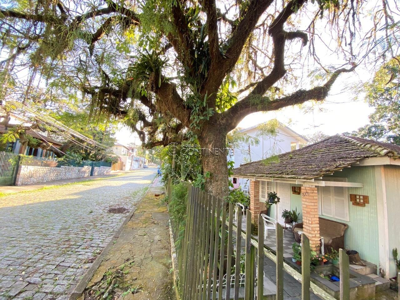 WhatsApp Image 2022-10-26 at 17.06