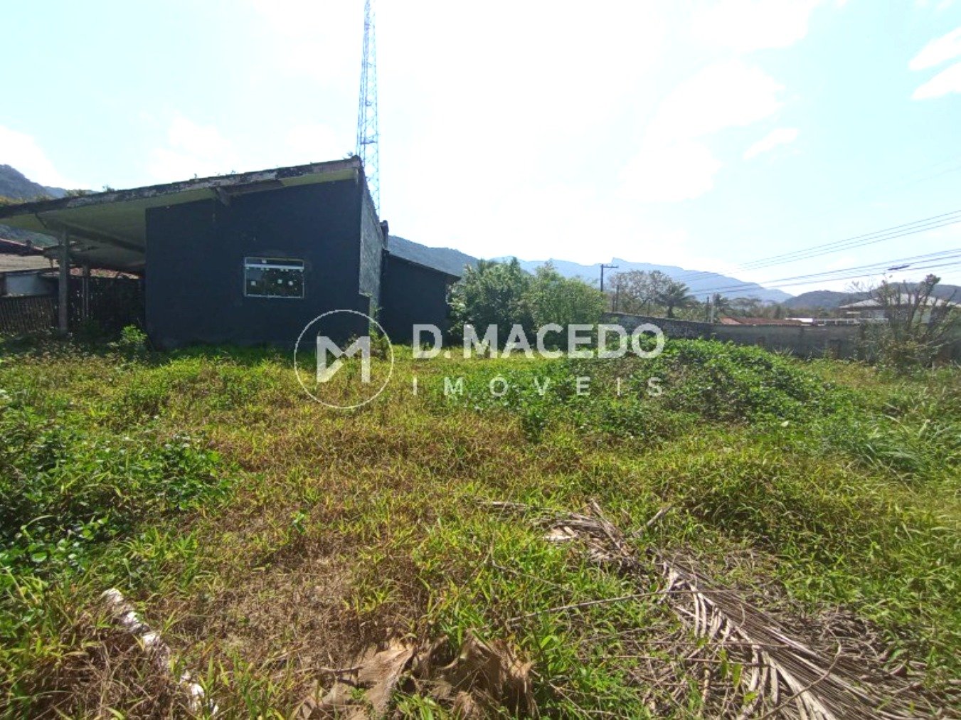 image-3