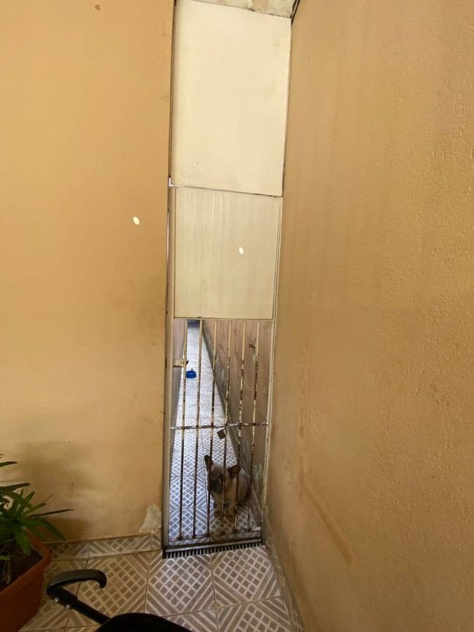 img3