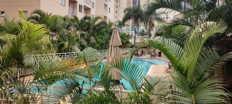apartment em Avenida Governador Pedro de Toledo, Bonfim - Campinas - SP