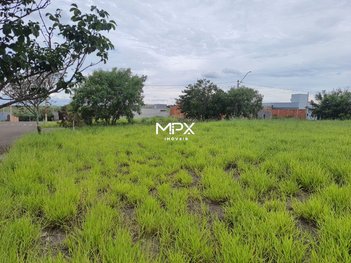 land_lot em Avenida Armando de Salles Oliveira, Centro - Piracicaba - SP