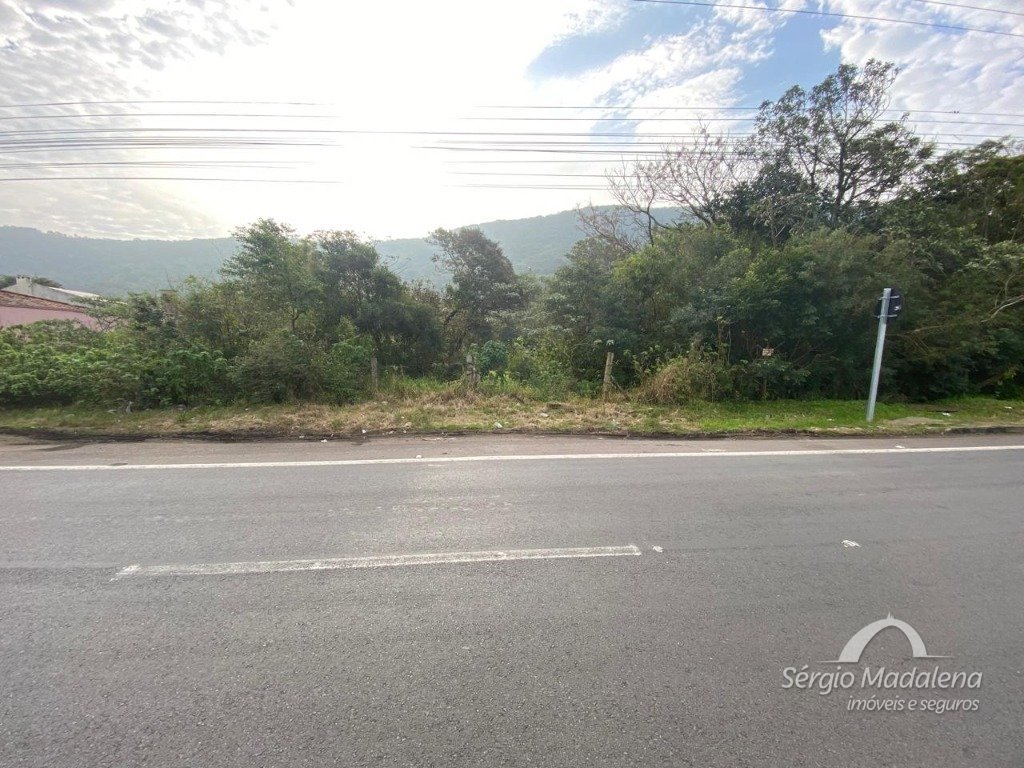 WhatsApp Image 2025-07-11 at 15.30