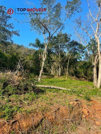 agricultural em Estrada do Morro do Paula, Fazenda São Borja - São Leopoldo - RS