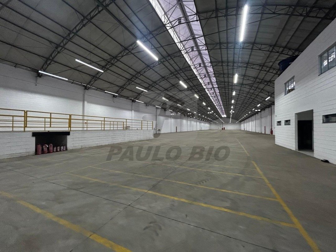 WhatsApp Image 2025-11-12 at 23.08