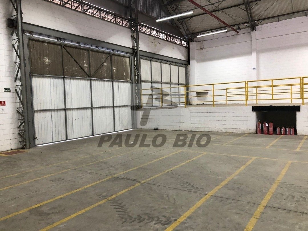 WhatsApp Image 2025-11-12 at 23.08