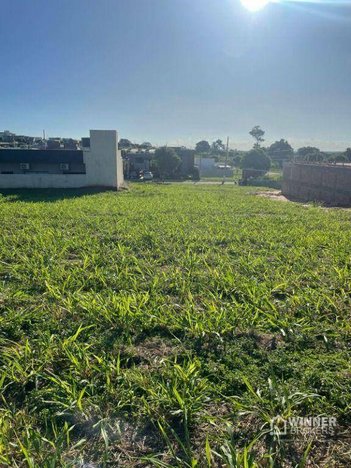 land_lot em Avenida João Carraro, Porto Rico - Porto Rico - PR