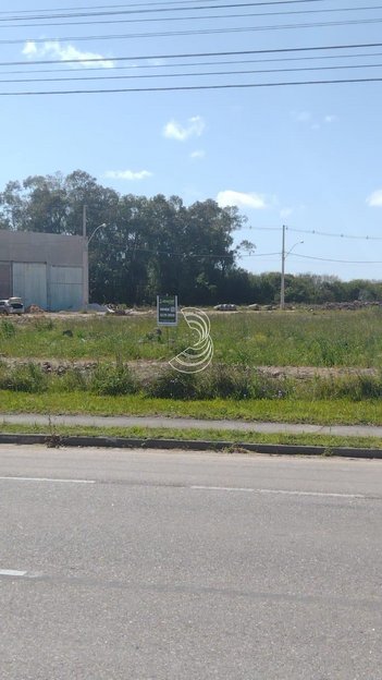 commercial_land_lot em BR-116, Três Vendas - Pelotas - RS
