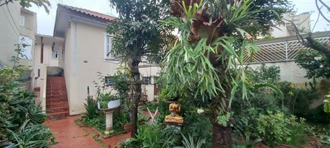 house em Rua Almirante Noronha, Jardim São Paulo(Zona Norte) - São Paulo - SP