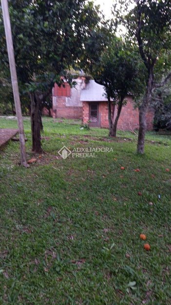 agricultural em Rua São Judas Tadeu, Lomba do Pinheiro - Porto Alegre - RS