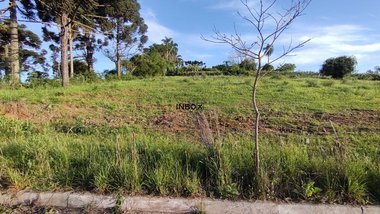 land_lot em Rua José Carli, Tuiuti - Bento Gonçalves - RS