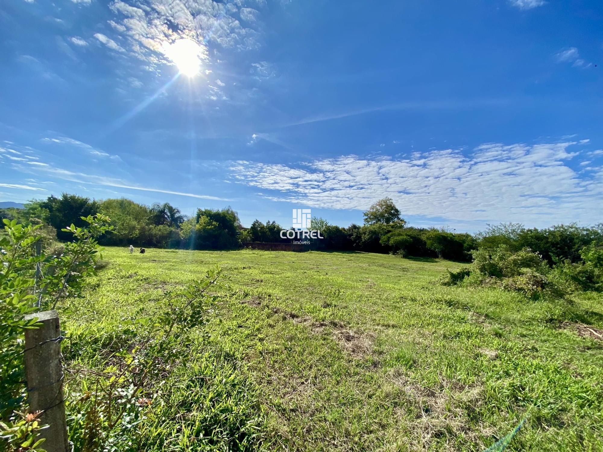 img191810520