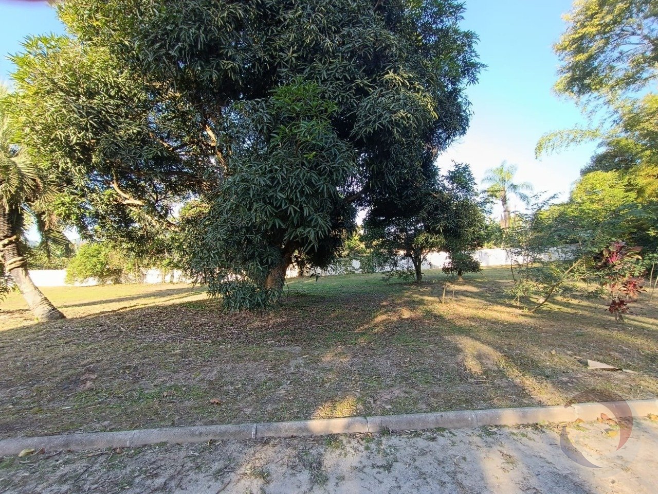 2- lote 6