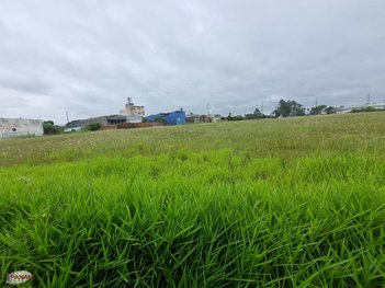 land_lot em Avenida Assis Brasil, Sarandi - Porto Alegre - RS