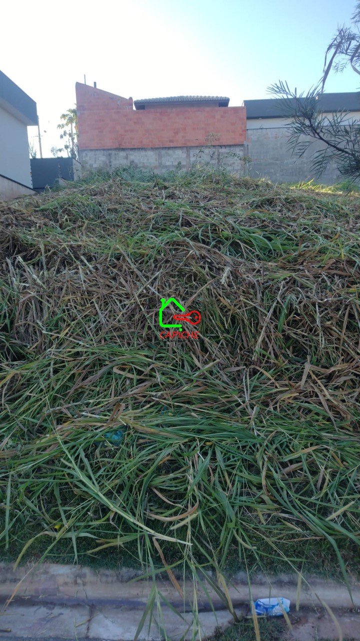 image-0