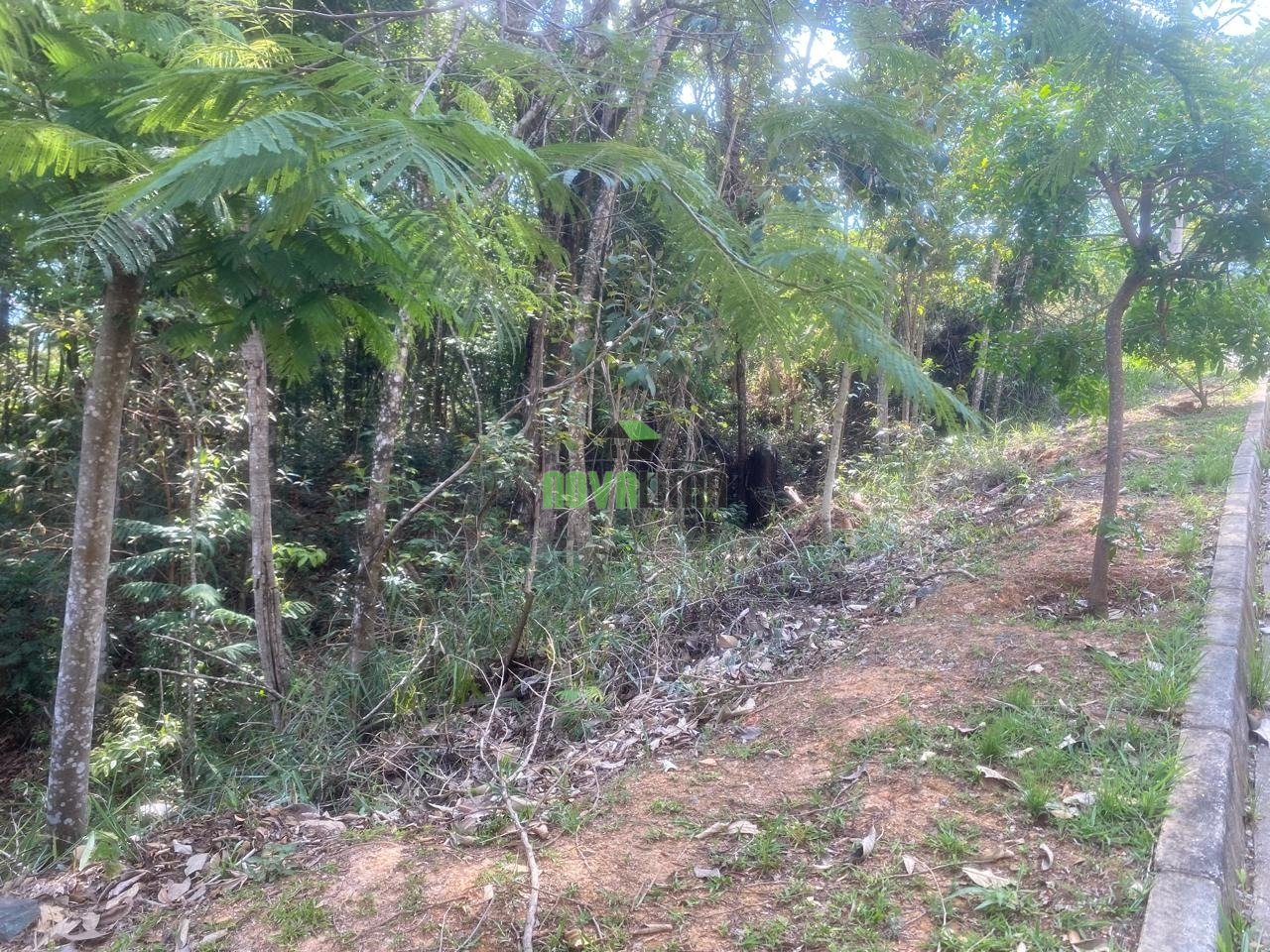 WhatsApp Image 2025-11-06 at 17.06