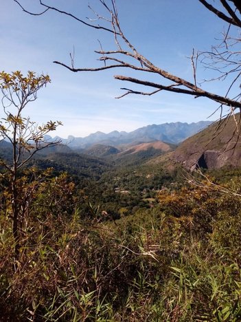 land_lot em Estrada da Mata, Araras - Petrópolis - RJ