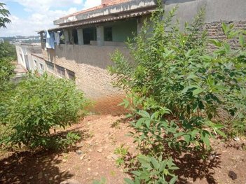 land_lot em Rua Paulo Lopes, Jardim do Triunfo - Guarulhos - SP