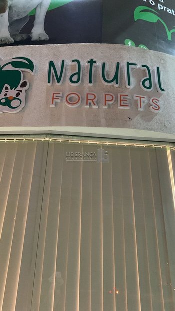 business em Rua Vera Linhares de Andrade, Itacorubi - Florianópolis - SC