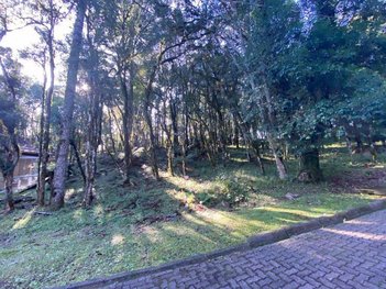 land_lot em Estrada do Caracol, Pinheiro Grosso - Canela - RS