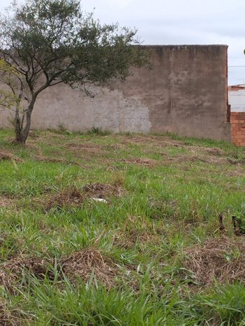 land_lot em Rua Genoveva de Cara da Silva, Jardim Botucatu (Rubião Júnior) - Botucatu - SP