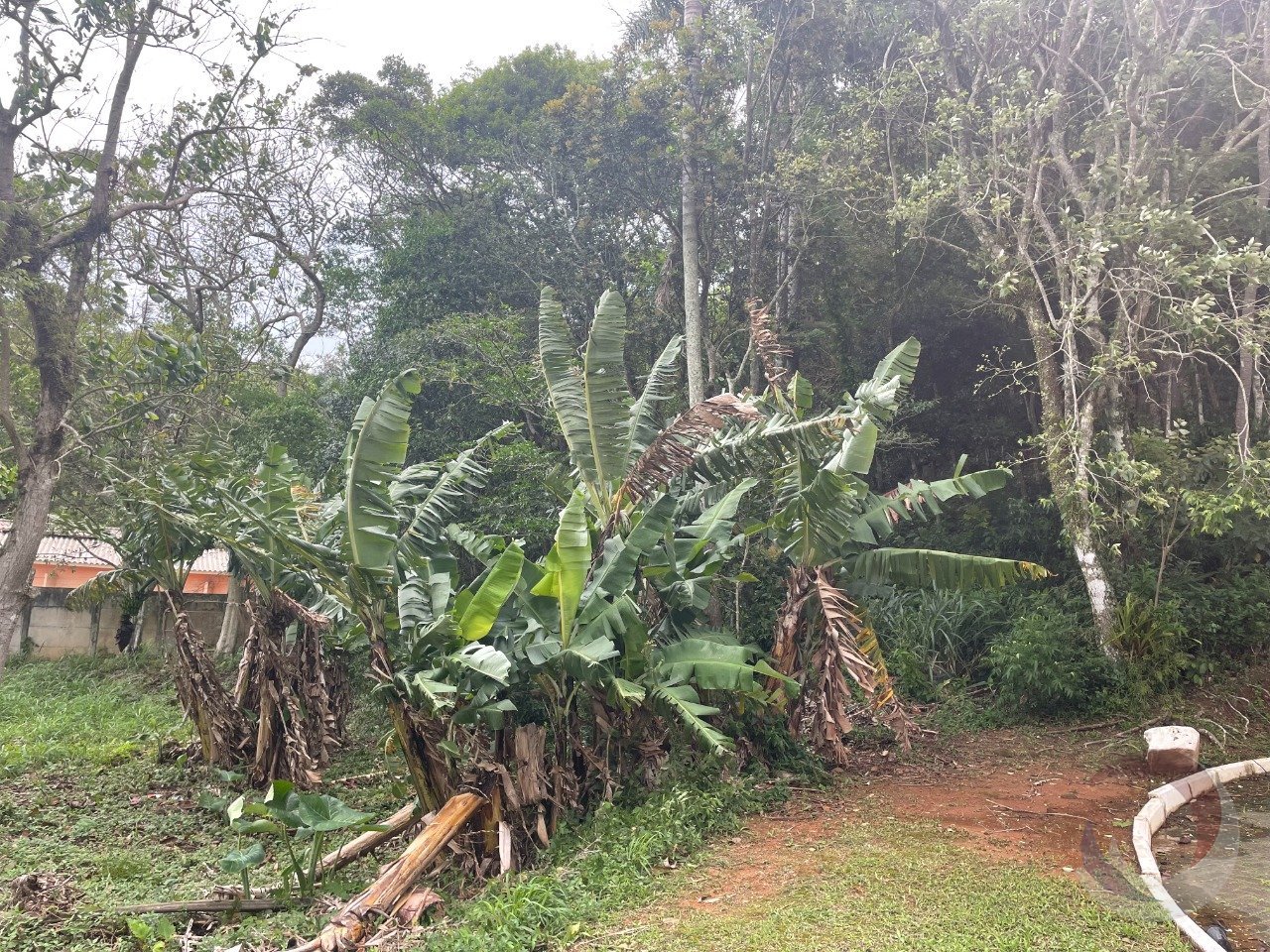 FOTO 02