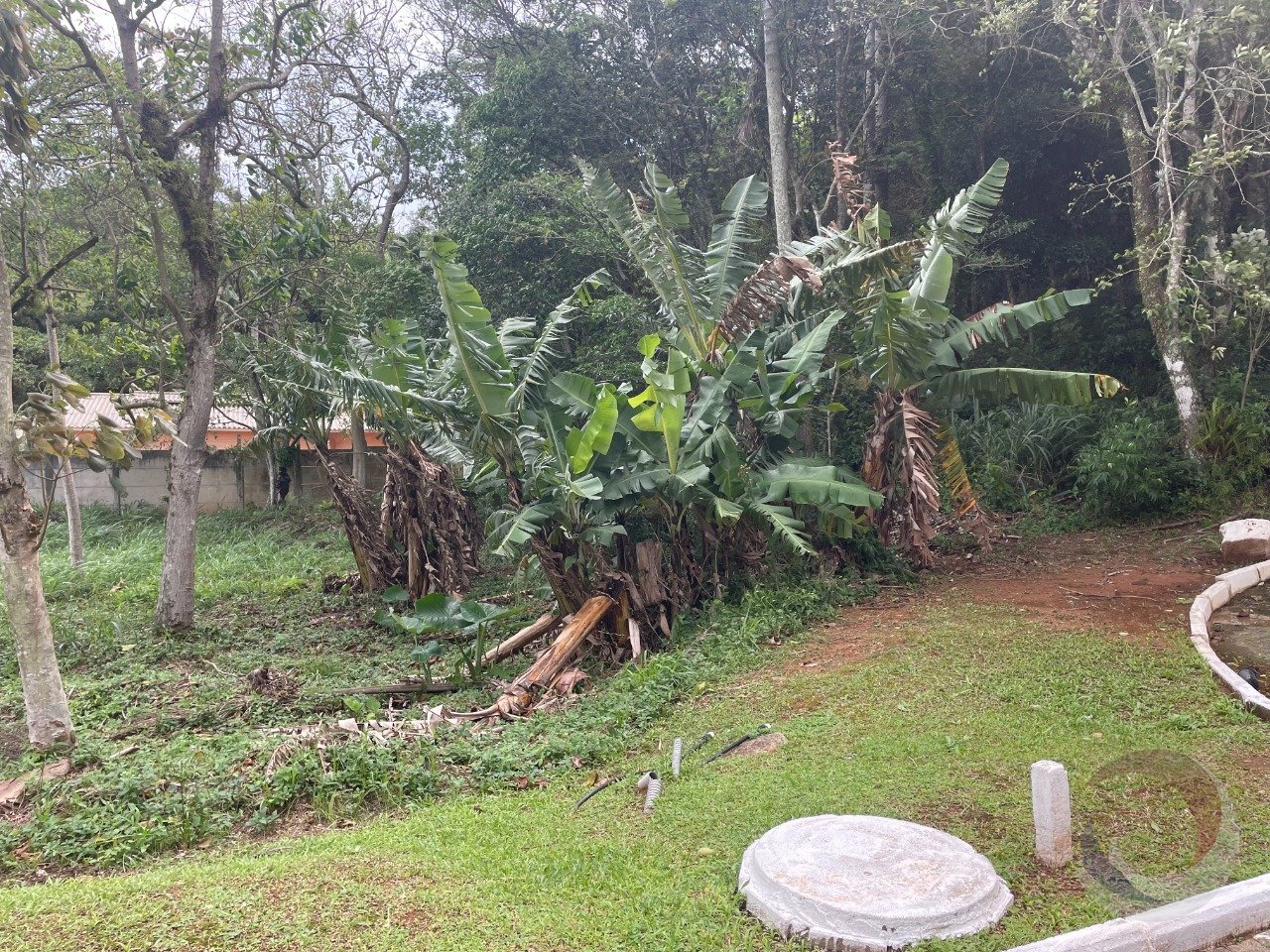 FOTO 03