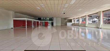 business em Avenida João Pinheiro, Brasil - Uberlândia - MG