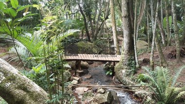 agricultural em Rua Antônio João Machado, Morro do Mirim - Imbituba - SC