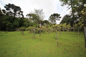 land_lot em Avenida Jacob Valenga, Vila Franca - Piraquara - PR