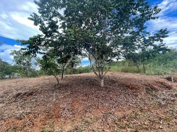 land_lot em Avenida dos Flamboyants, Residencial Villa Verde - Senador Canedo - GO