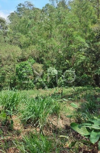 land_lot em Rua Pontal, Serra dos Lagos (Jordanésia) - Cajamar - SP