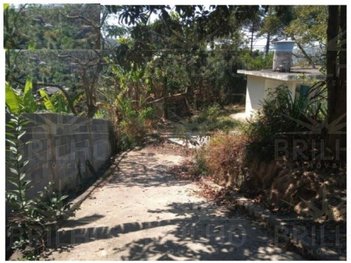 agricultural em Rua José Benedito Rodrigues, Centro (São João Novo) - São Roque - SP