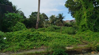 land_lot em Rua Paulo Holanda Costa, Cidade Universitária - Maceió - AL