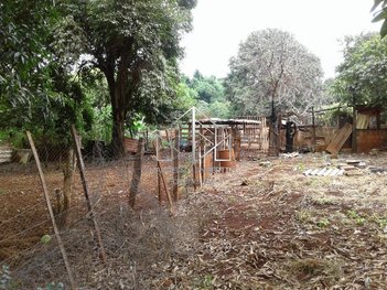 land_lot em Rua Ovidio Colus, Jardim José Sampaio Júnior - Ribeirão Preto - SP