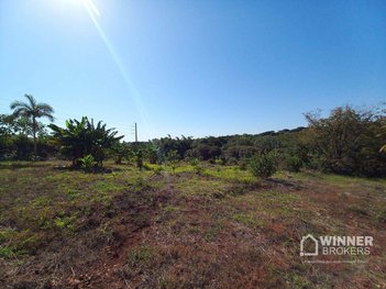 land_lot em Avenida Colombo, Gleba Patrimônio Maringá - Maringá - PR