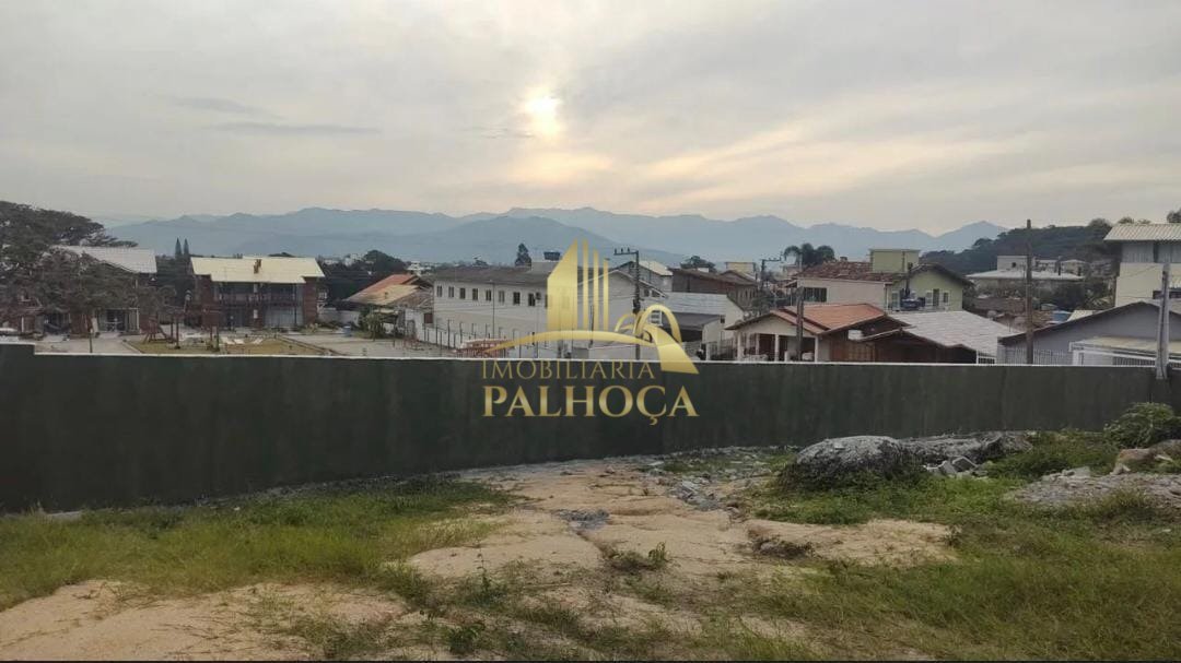 WhatsApp Image 2025-08-12 at 14.44