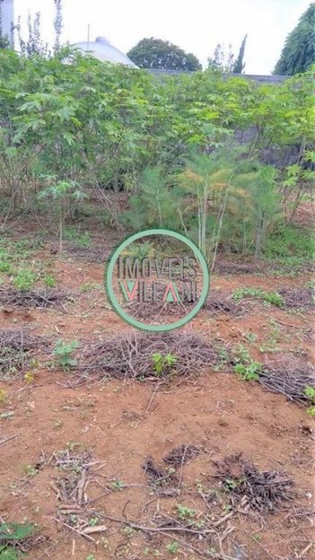 land_lot em Rua José Rachid, Bosque dos Eucaliptos - São José dos Campos - SP