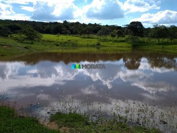 agricultural em Rodovia MG-050, da Saudade - Formiga - MG