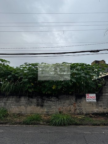 land_lot em Rua Tingui, Vila Ida - São Paulo - SP