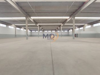 industrial em Forte do Leme, Parque São Lourenço - São Paulo - SP