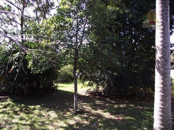 land_lot em Rua São Leopoldo, Vila Jardim - Porto Alegre - RS