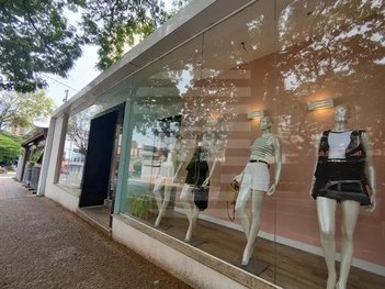 business em Rua Irmãos Bierrenbach, Cambuí - Campinas - SP