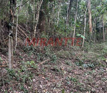 commercial_building em Avenida Coronel Sezefredo Fagundes, Tucuruvi - São Paulo - SP