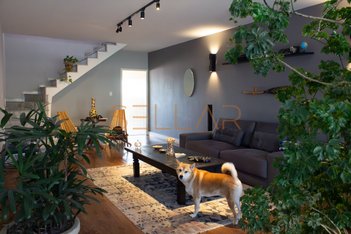 house em Avenida Conceição, Carandiru - São Paulo - SP