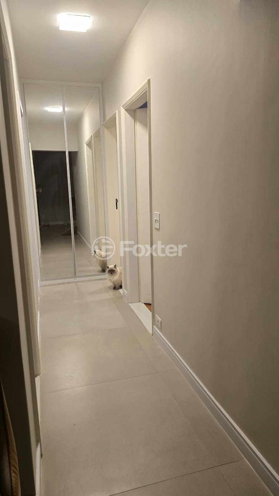 WhatsApp Image 2025-11-21 at 20.14.36.jpeg