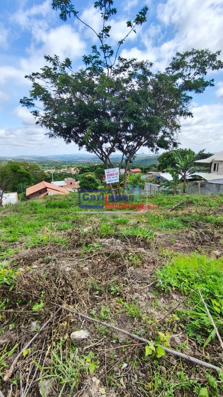 WhatsApp Image 2025-11-28 at 11.56