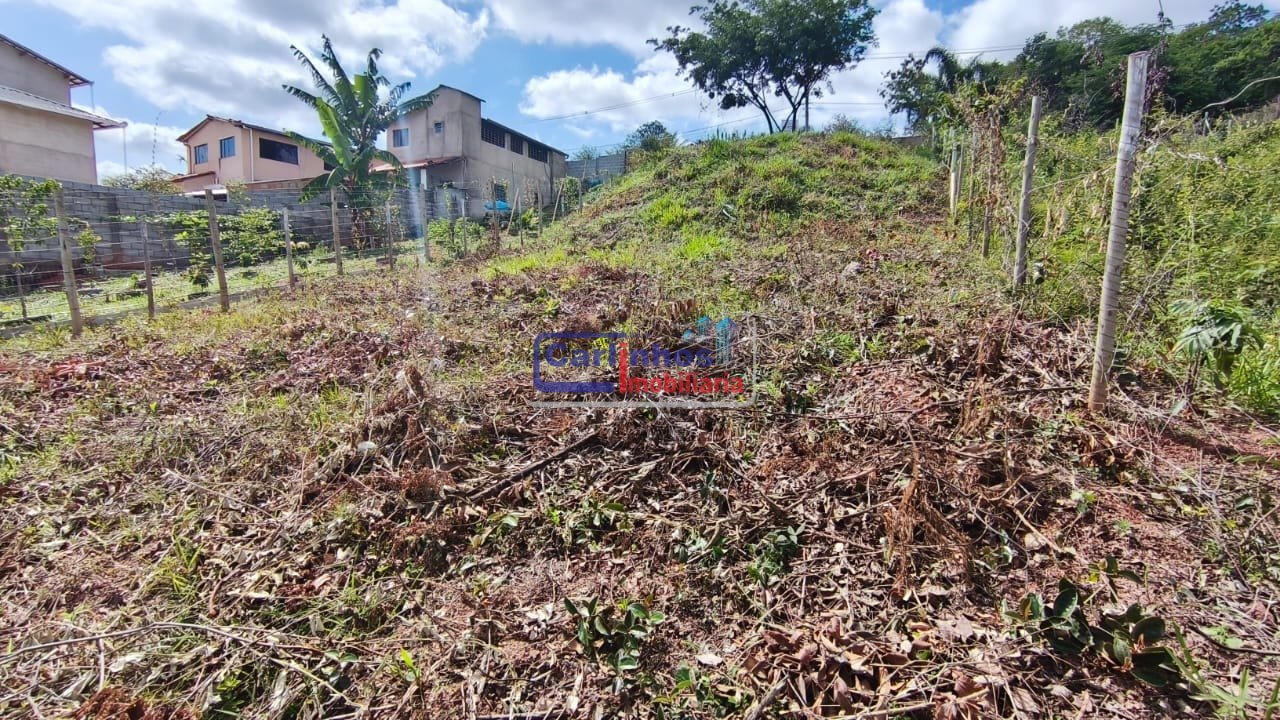 WhatsApp Image 2025-11-28 at 11.56